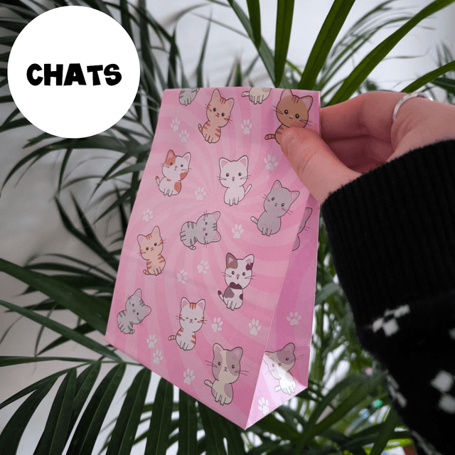 Pochette surprise - Chats