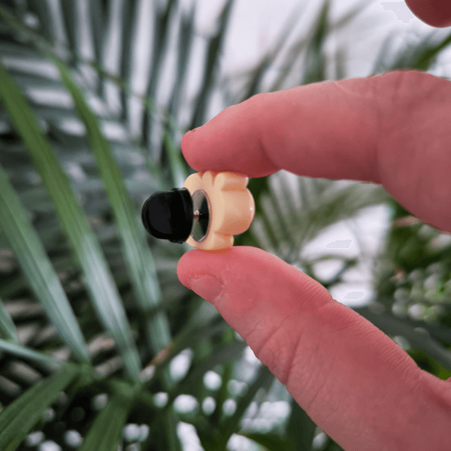 Mini pins - Escargot