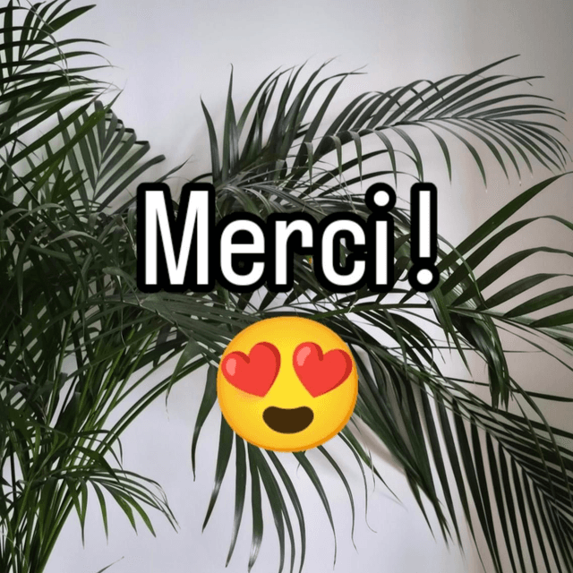 Pourboire